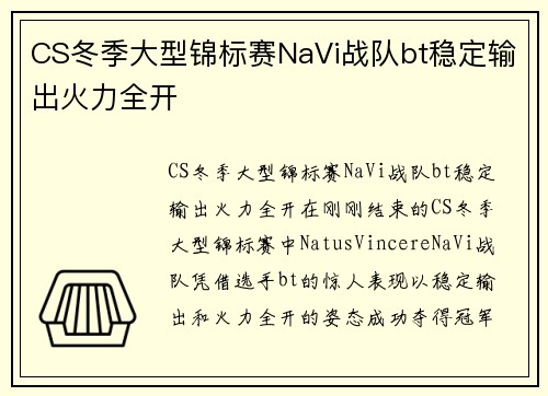 CS冬季大型锦标赛NaVi战队bt稳定输出火力全开