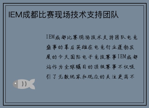 IEM成都比赛现场技术支持团队