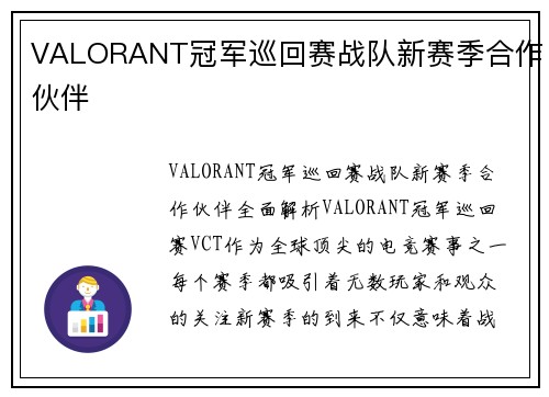 VALORANT冠军巡回赛战队新赛季合作伙伴