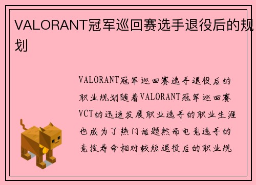 VALORANT冠军巡回赛选手退役后的规划
